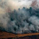 Identifican a tres sospechosos de causar los incendios en la Amazonia
