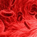 Investigadores descubren nuevas causas de las placas en las arterias