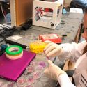 No más pruebas en animales, mexicana busca reducirlas con chips