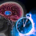 El reloj de nuestro cerebro atrasa dos semanas al año