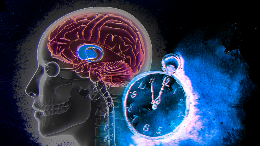 El reloj de nuestro cerebro atrasa dos semanas al año
