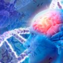 Científicos demuestran que el Alzheimer está asociado con genes implicados en los contactos entre neuronas