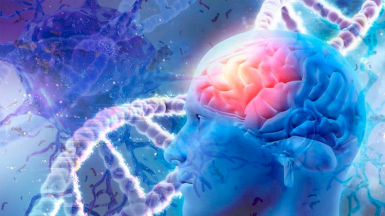 Científicos Demuestran Que El Alzheimer Está Asociado Con Genes 