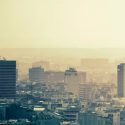 Demuestran investigadores mexicanos daños al sistema nervioso por contaminantes en el aire