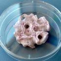 ¡Impresionante! Científicos imprimen piel y hueso en 3D para astronautas que viajarán a Marte