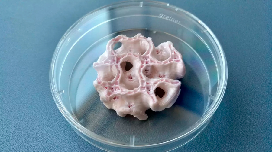 ¡Impresionante! Científicos imprimen piel y hueso en 3D para astronautas que viajarán a Marte