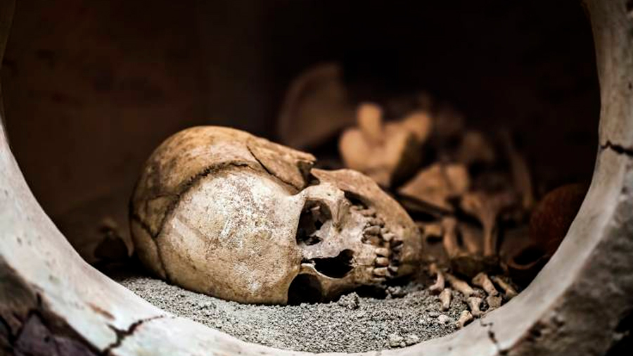 Científicos buscan reconstruir el rostro de una “bruja” sujeta a un entierro vampírico