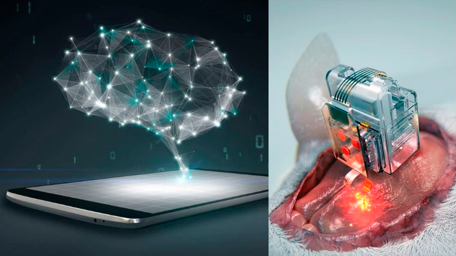 Ahora se pueden manipular células cerebrales de animales de laboratorio usando un Smartphone