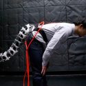 Desarrollan una cola robótica que podría acercar al ser humano al equilibrio de los monos