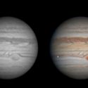Un astrónomo aficionado logró captar el impacto de un meteorito en Júpiter