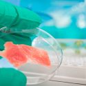 Carne artificial, el alimento de laboratorio que aspira a salvar al planeta