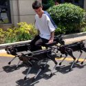 Mira este pequeño ejército de robots cuadrúpedos cargar un humano y jalar una minivan