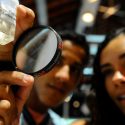 A revisión del gobierno mexicano consejos asesores de ciencia, academias y sociedades científicas
