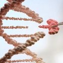 Probarán edición genética para curar forma hereditaria de ceguera