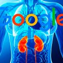 Un algoritmo de Google puede detectar insuficiencia renal antes que médicos aprecien síntomas