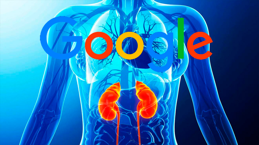 Un algoritmo de Google puede detectar insuficiencia renal antes que médicos aprecien síntomas