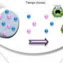 Desarrollan material inteligente que libera antibióticos