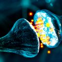 Descubren un marcador que ofrece una forma objetiva de diagnosticar el autismo a futuro