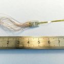 Crean dispositivo para permitir a los ciegos 'ver' con el cerebro