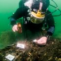 Un astillero de la Edad de Piedra aparece en el sur de Inglaterra