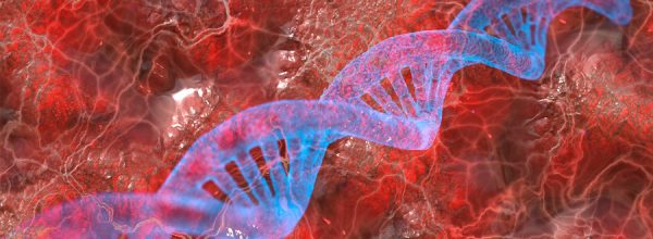 Descubren un ‘efecto mariposa’ que controla capacidad de las células para generar un organismo completo