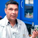 Científico mexicano perfecciona protocolo de propagación de plantas élite de cocotero in vitro