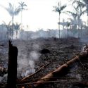 ¿Por qué se quema la Amazonia y qué consecuencias va a tener?