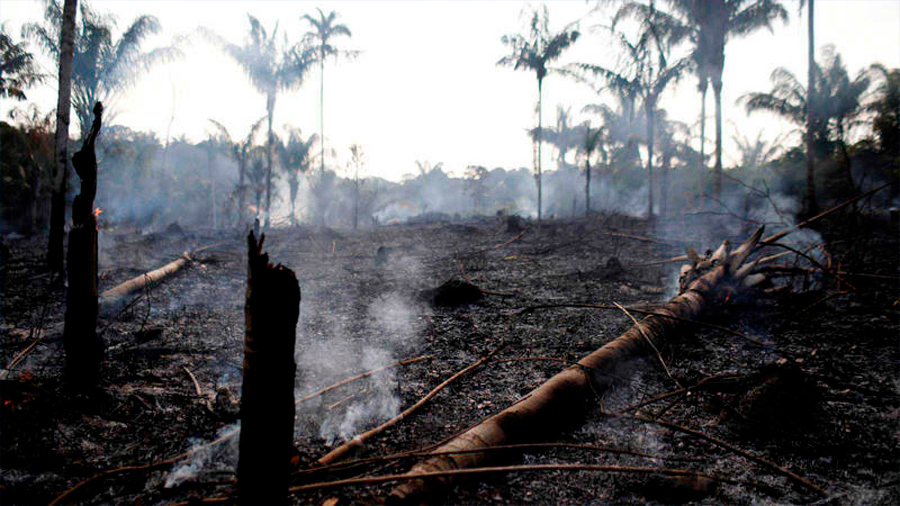 ¿Por qué se quema la Amazonia y qué consecuencias va a tener?