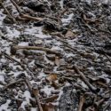 Himalaya: nuevos hallazgos intentan explicar el misterio del lago con huesos de cientos de humanos
