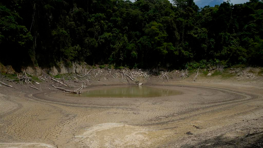 Se deseca laguna en selva del sureste de México por crisis climática, El Siglo de Torreón