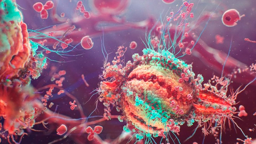 Investigadores descubren un fármaco que elimina células que reactivan el VIH