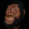 Un cráneo revela el rostro de un ancestro humano que vivió hace 3.8 millones de años