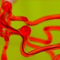Crean 'hilo' robótico que se desliza por los vasos sanguíneos del cerebro y retira coágulos