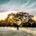 Los humanos causaron un cambio ambiental significativo hace unos 3000 años