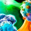 Investigadores argentinos desarrollan nanopartículas que logran matar células cancerígenas