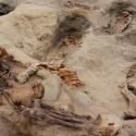 Los sacrificios masivos de niños eran un ritual habitual en el antiguo Perú: hallan cientos de cuerpos