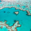 Australia califica la situación en la Gran Barrera de Coral de “muy grave”