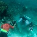 Siembra México corales para rescatar el Sistema Arrecifal Mesoamericano