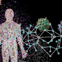 Un gran mapa muestra cómo los virus infectan a los humanos