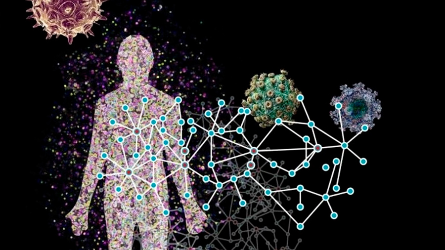 Un gran mapa muestra cómo los virus infectan a los humanos