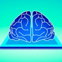 Crean un dispositivo que recuerda y olvida como el cerebro