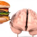 Las dietas ricas en grasa cambian el cerebro