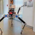 Este delicado robot puede pasar de cuatro a dos patas sin caerse