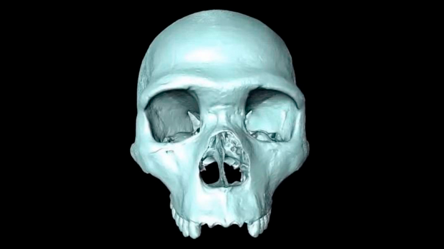 Científicos recrean cráneo del ancestro del Homo Sapiens en reconstrucción 3D virtual
