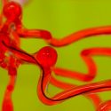 Gusano robot del MIT es capaz de entrar al cerebro y repararlo