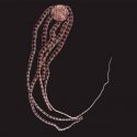 Descubren investigadores de la UNAM nueva especie marina en Cozumel… y ya está en peligro de extinción
