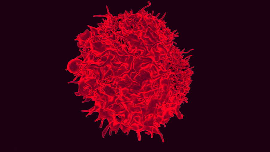 China: paciente con VIH recibe tratamiento con glóbulos rojos editados con CRISPR
