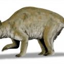 Monstruos marsupiales de más de una tonelada poblaron Australia