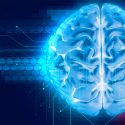 Los tumores cerebrales se integran en el 'cableado' del cerebro