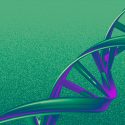 Un famoso algoritmo cuántico podría ser parte de la propia naturaleza